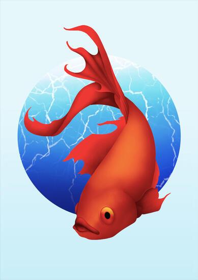 Peixe Peixe